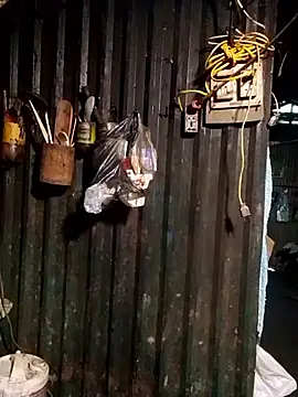 แชท XXX สดของ doggy-00