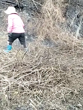 galaxy898 Live XXX Chat