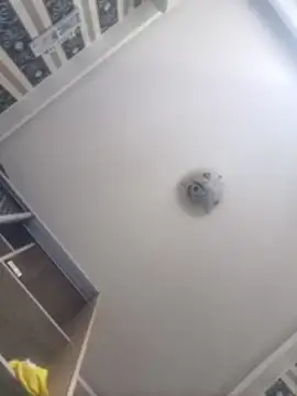 Ianne150: вебкам-шоу