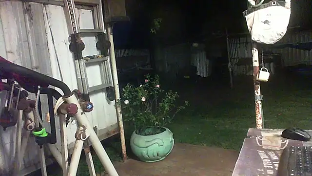 herbie010666's Live XXX Chat