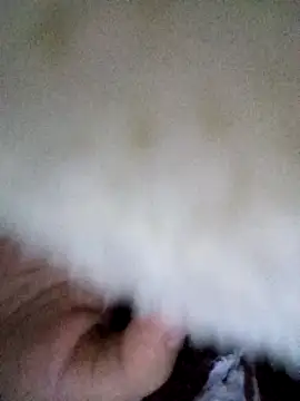 LONA-_- Chat XXX in diretta