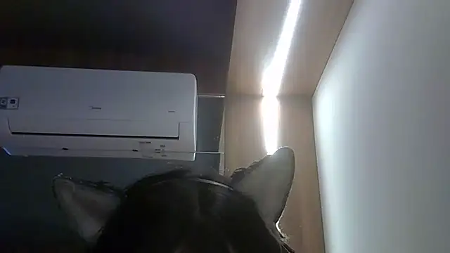 SkinnyKitten 라이브 XXX 채팅