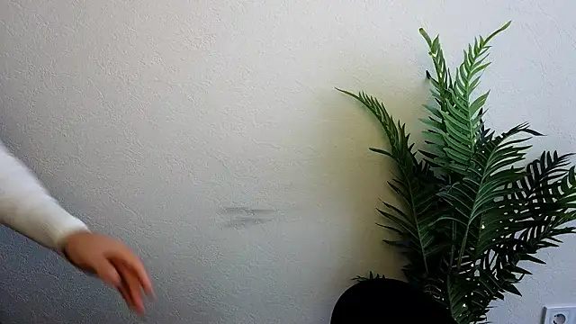 veryshygirl: вебкам-шоу