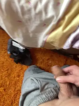 Webkamerová show HotxStefan69