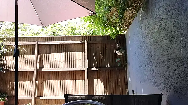 TopsyWilde Live XXX-Chat