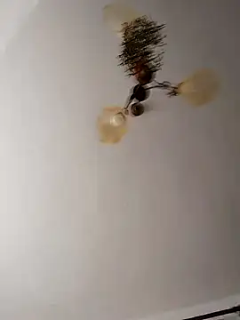 Webkamerová show Lisak951