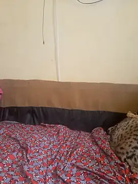 Chat +18 de aisha78 ao vivo