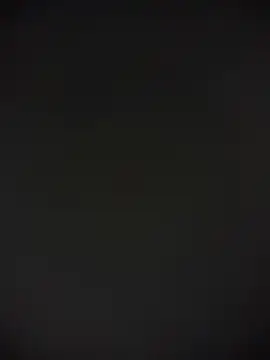 TheDime's Live XXX Chat