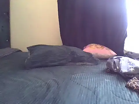 Czat XXX na żywo – wildnastia