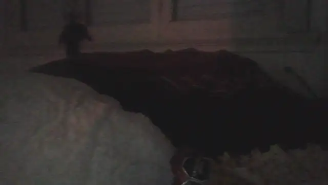 Darkytah 라이브 XXX 채팅