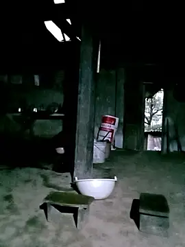 Chat +18 de ngan-cute ao vivo