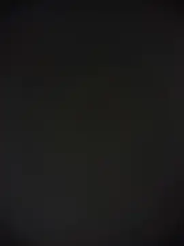 TheDime 现场XXX 聊天