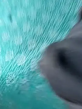 MilfLoverBoy2K25 Webcam show