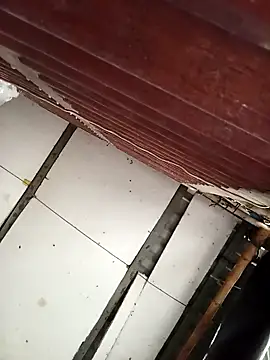 Lin-kute98 网络视讯表演