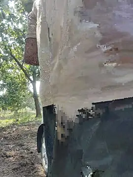 smgrtamil Live XXX Chat