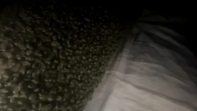 whereisefl's Live XXX Chat