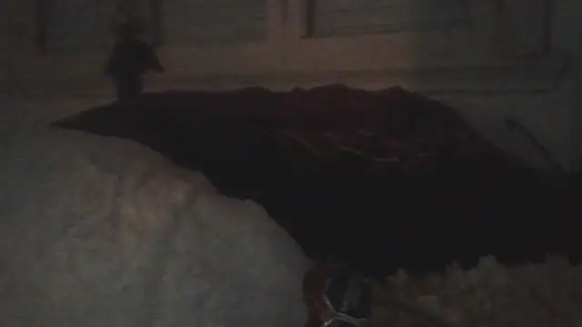 Chat +18 de Darkytah ao vivo