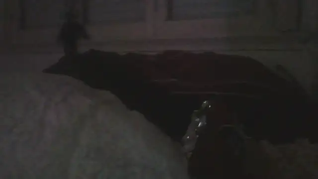 Darkytahn Live XXX chat