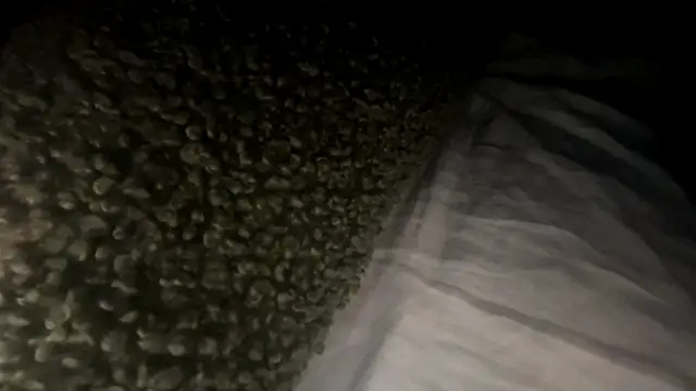 Chat +18 de whereisefl ao vivo