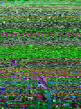 Show de boldoman na webcam