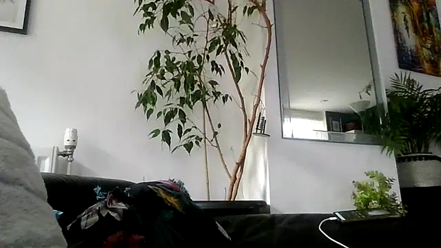 Chat +18 de Ebony-SultryX ao vivo