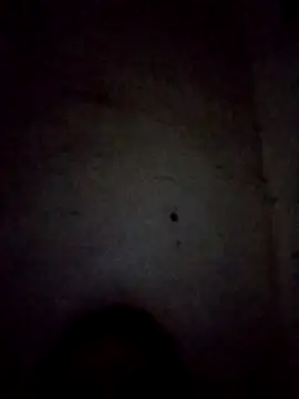 codigoBSoudss26 웹캠 쇼