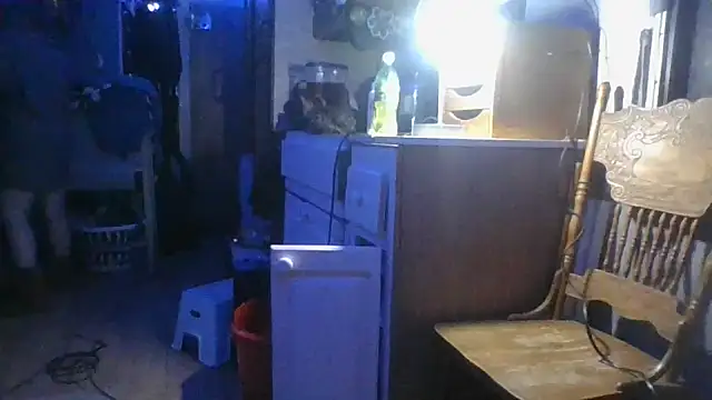 stormynight1 élő XXX-chatje