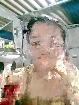 ngan-cute élő XXX-chatje