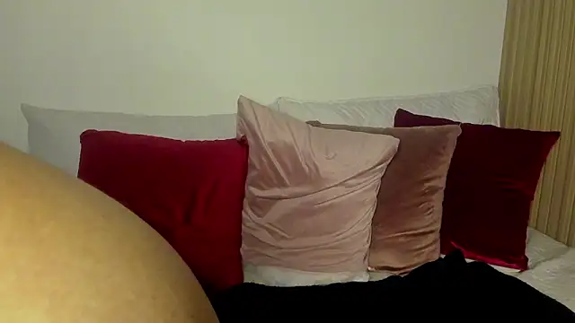 Show webcam de summer_night_