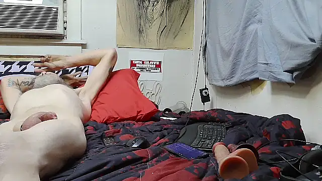 Show webcam de Spotless_Load