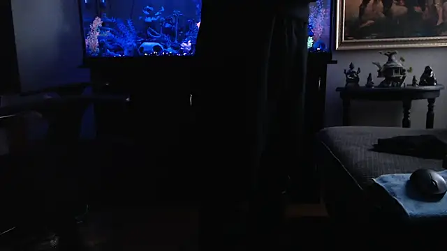 Show webcam de EspanolVato