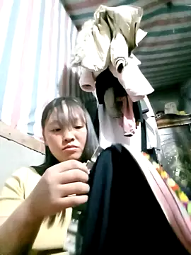 Show webcam de Minkine022