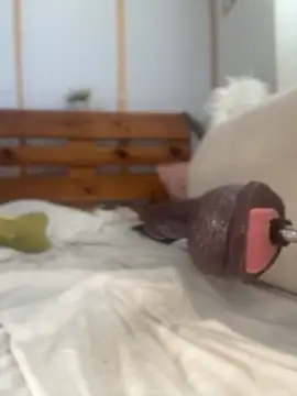 ROUSSH's Live XXX Chat