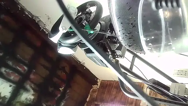 ILOVEhairywoman Show Webcam