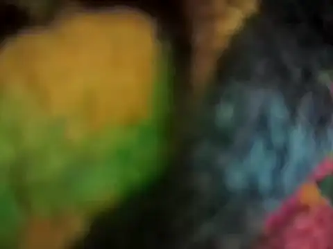 lattenjo Live XXX-Chat