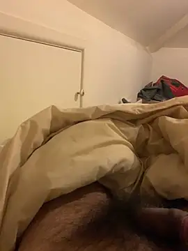 Jay78616n Webbikameraesitys