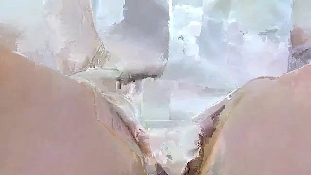 Show webcam de riseshu