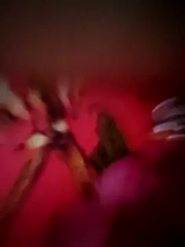 124pakhi Webcam Show