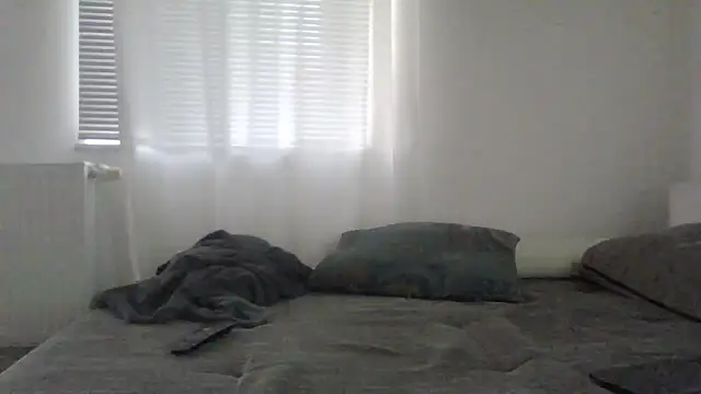 Pokazy przed kamerką – XLBarehengst