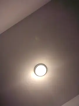 Treemandude Adlı Modelin Canlı XXX Sohbeti