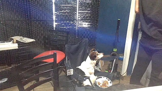 sexyhotstud12 Live XXX-chat