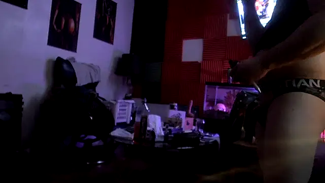 Show webcam de TheHellBilly