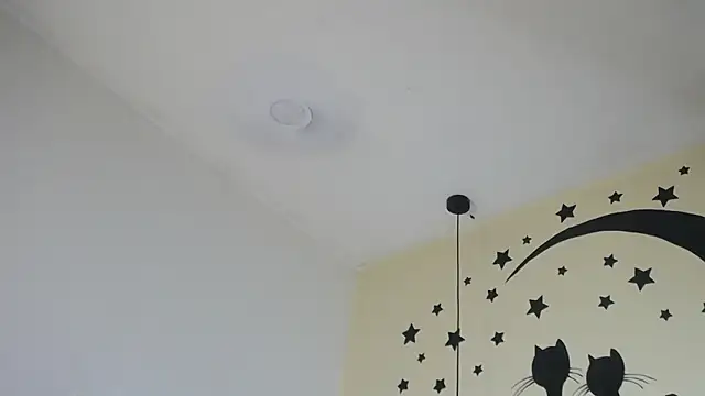 jeisonstarkのウェブカメラショー