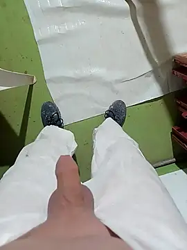 GeilerSchweizer Webcam-Show