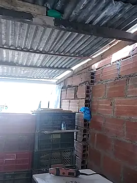 Živý XXX chat hoteder