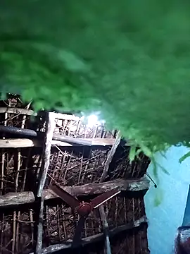 Gyoti7070n Live XXX chat