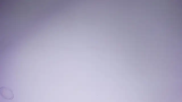 AmyColman_'s Live XXX Chat