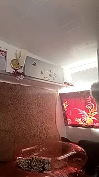 whitetrashdirtyslut 现场XXX聊天