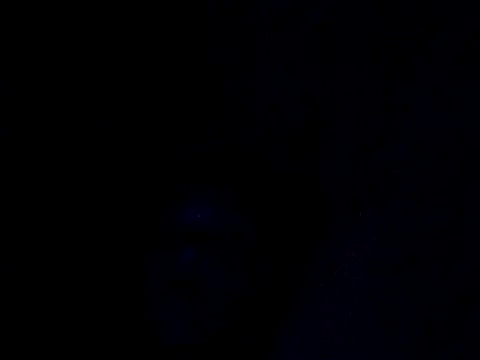 spunfunbun ওয়েবক্যাম শো