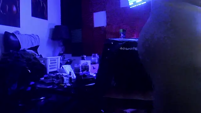 Show webcam de TheHellBilly